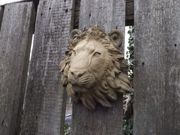Small Lion Wall Plaque