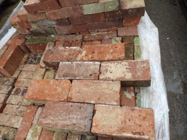 Wirecut Bricks