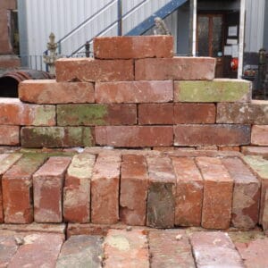 Wirecut Bricks