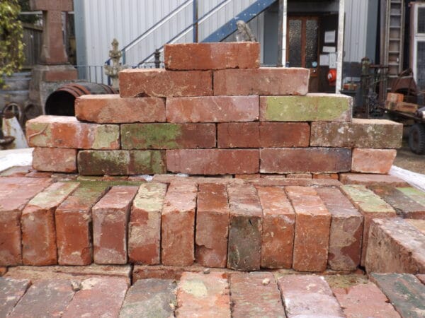 Wirecut Bricks