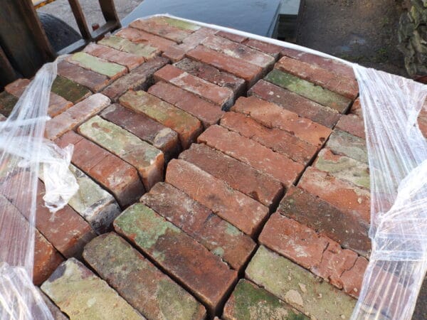 Wirecut Bricks