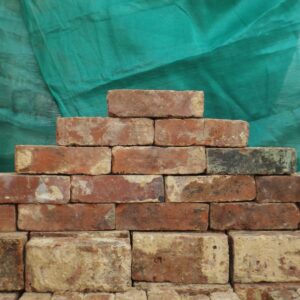 Wirecut Bricks