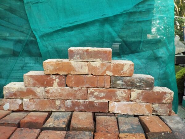 Wirecut Bricks