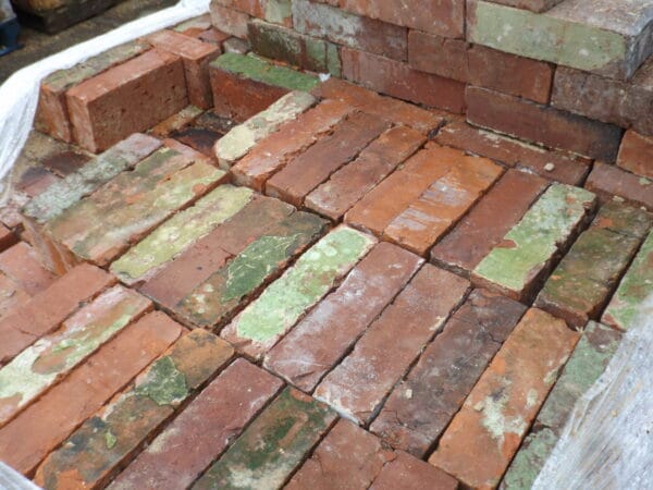 Wirecut Bricks