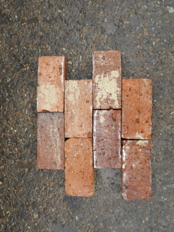 Wirecut Bricks