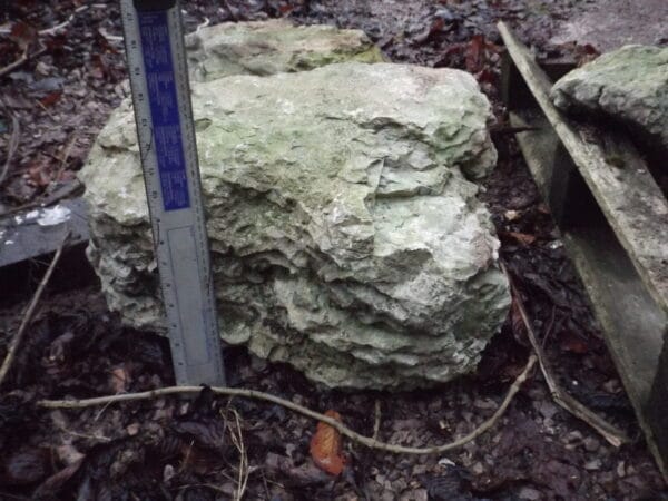 Rockery Stone