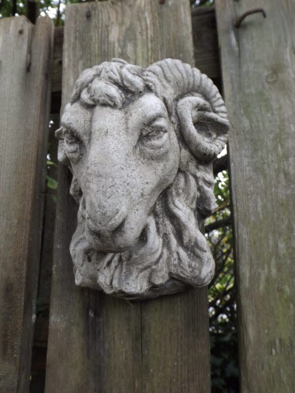 Rams Head Wall Plaque