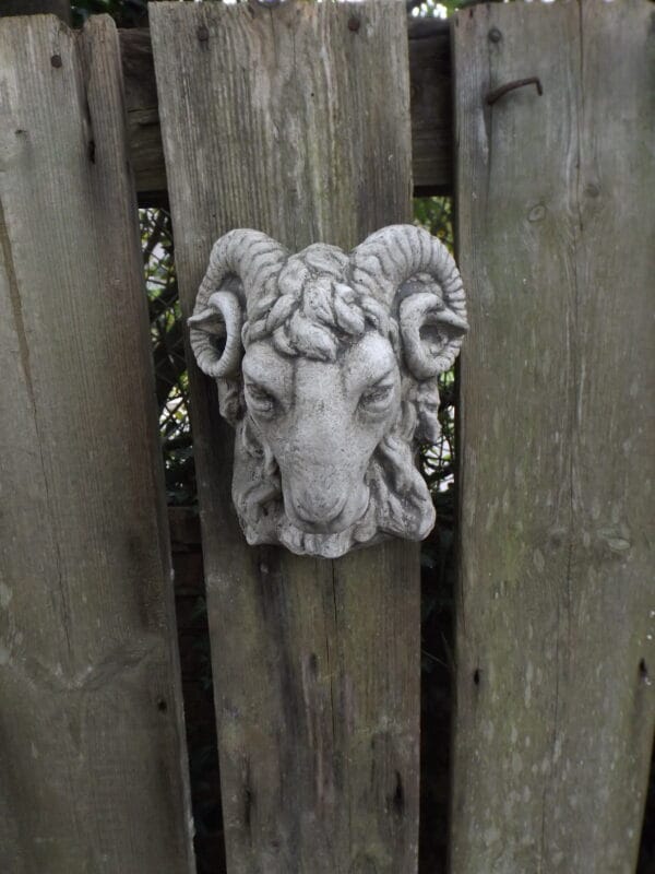 Rams Head Wall Plaque