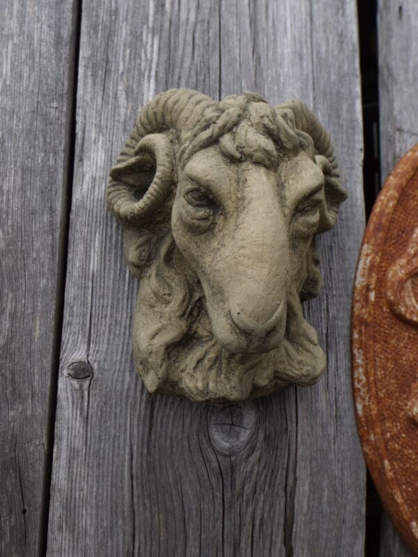 Rams Head Wall Plaque