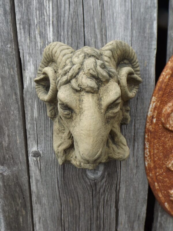 Rams Head Wall Plaque