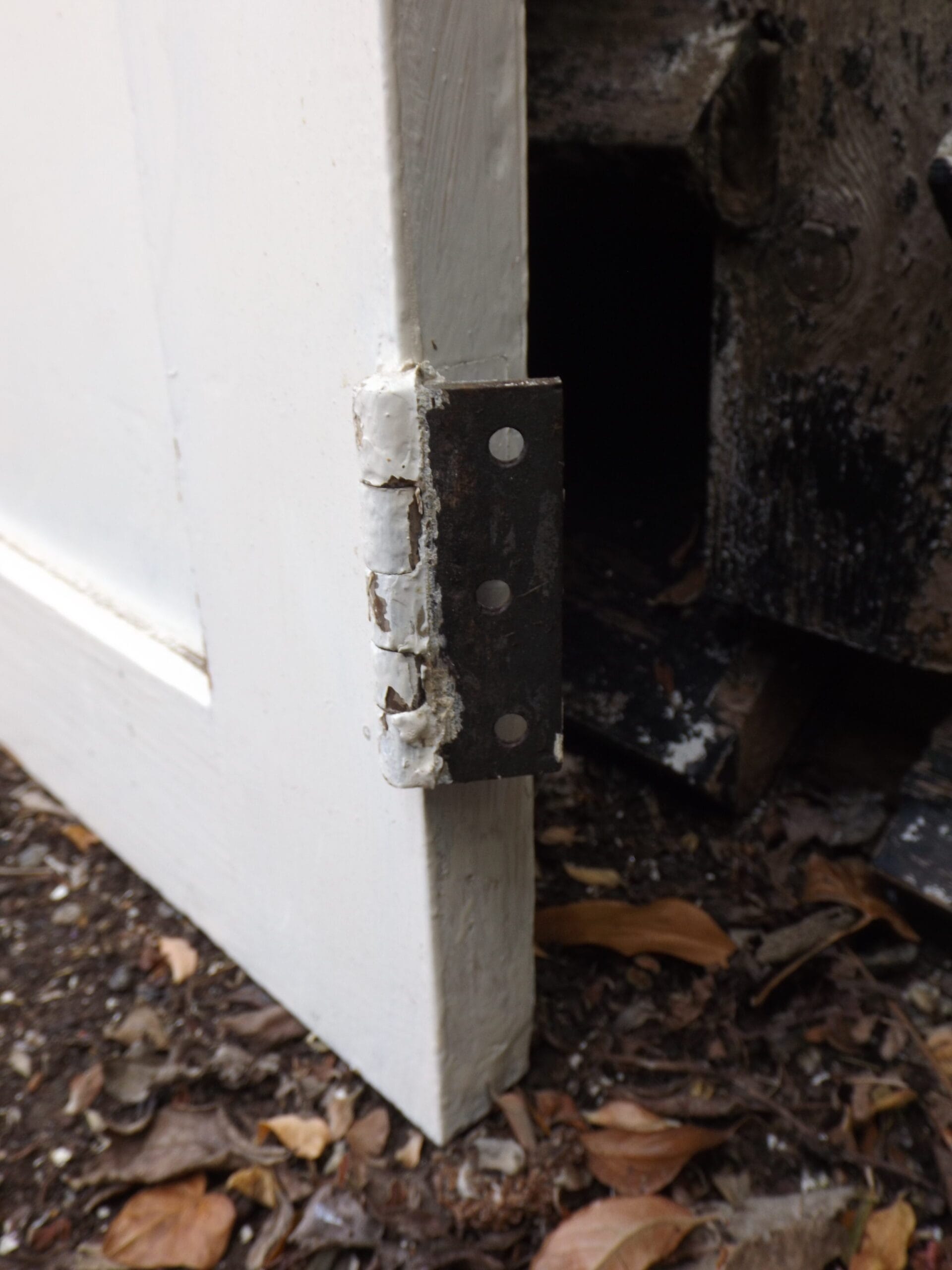 Antique Shaker Cupboard Doors - Best Reclamation Antique Shaker Cupboard Doors