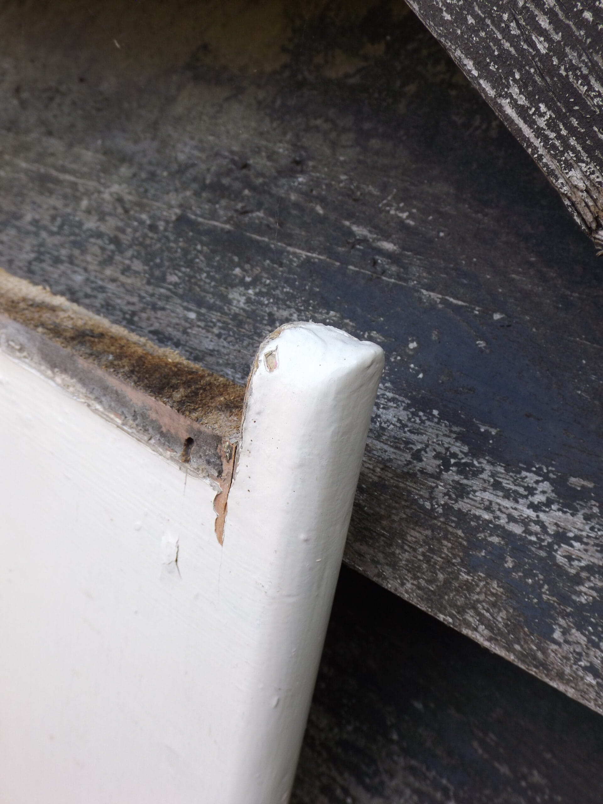 Antique Shaker Cupboard Doors - Best Reclamation Antique Shaker Cupboard Doors