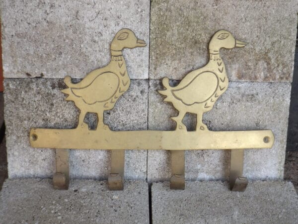 Brass Duck Hooks