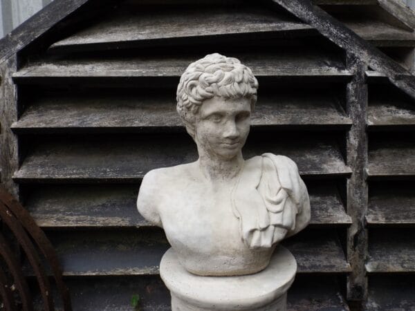 Classic Roman Bust
