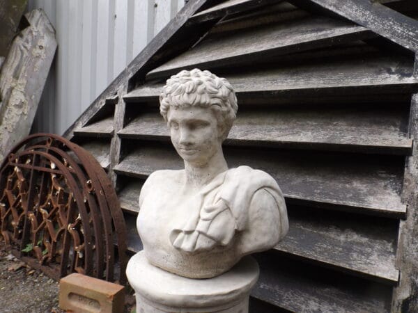 Classic Roman Bust