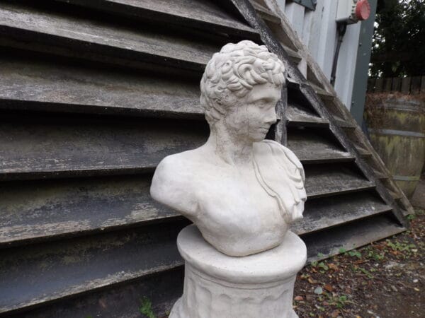 Classic Roman Bust