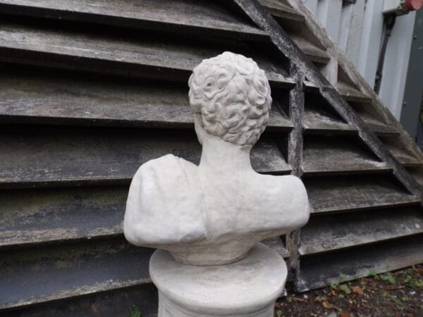 Classic Roman Bust