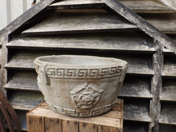 Tudor Rose Planter