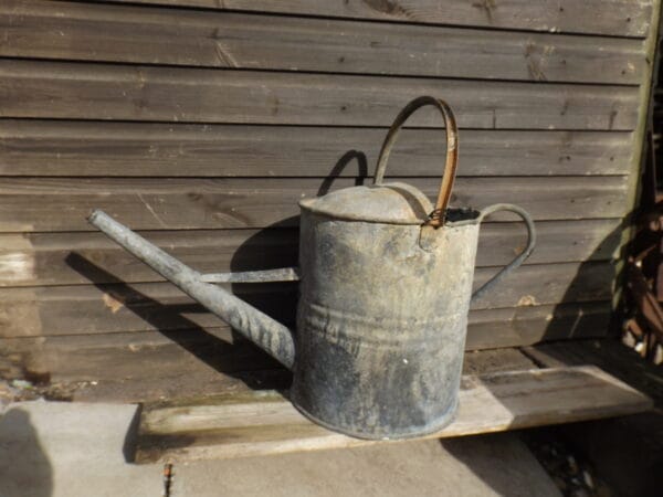 Galvanised Watering Can