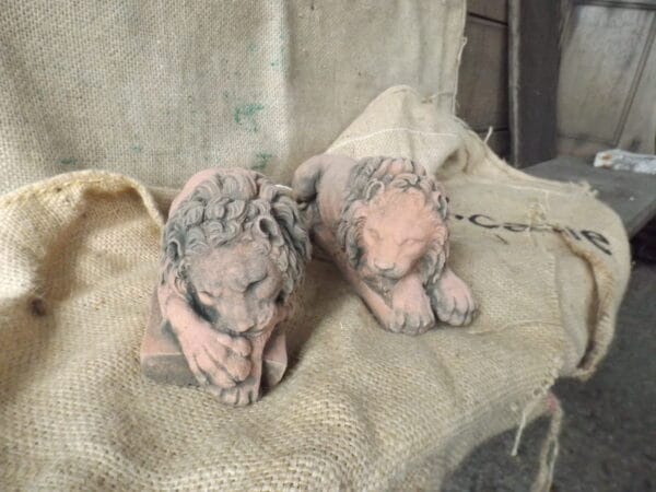 Chatsworth Lions
