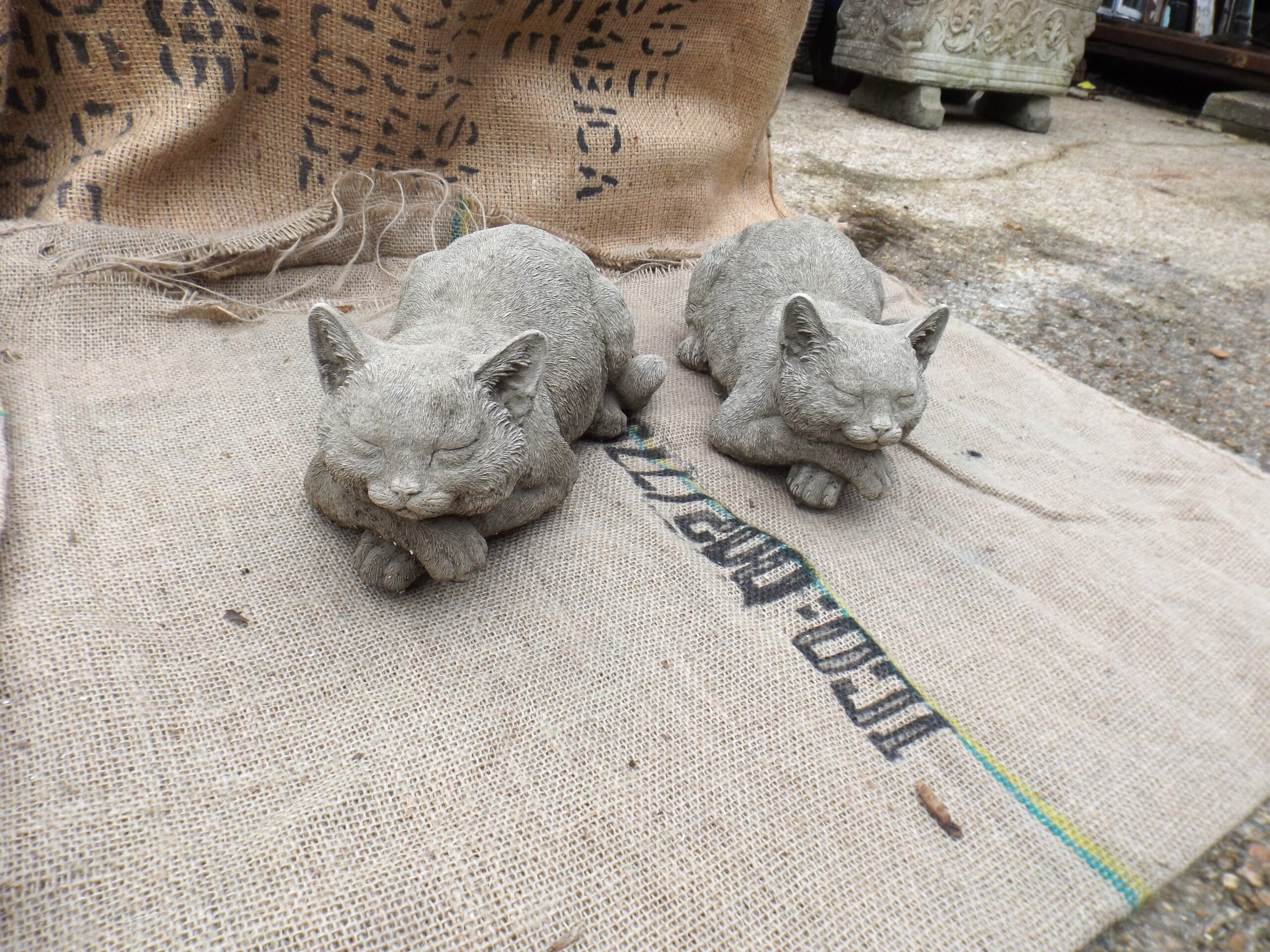 Resting Cat Statuette - Best Reclamation Resting Cat Stauette