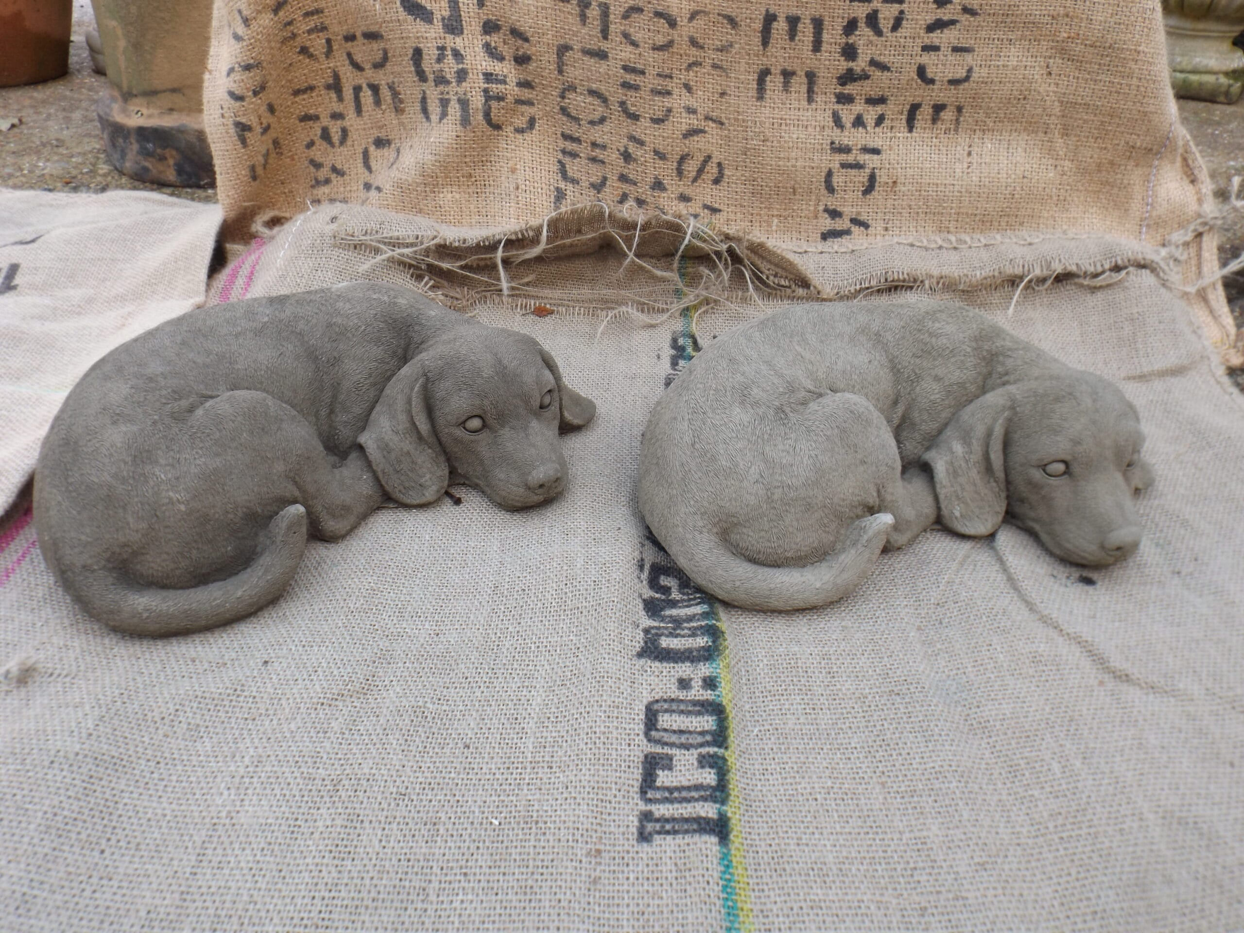 Sleeping Labrador Statuette - Best Reclamation Sleeping Labrador Statuette