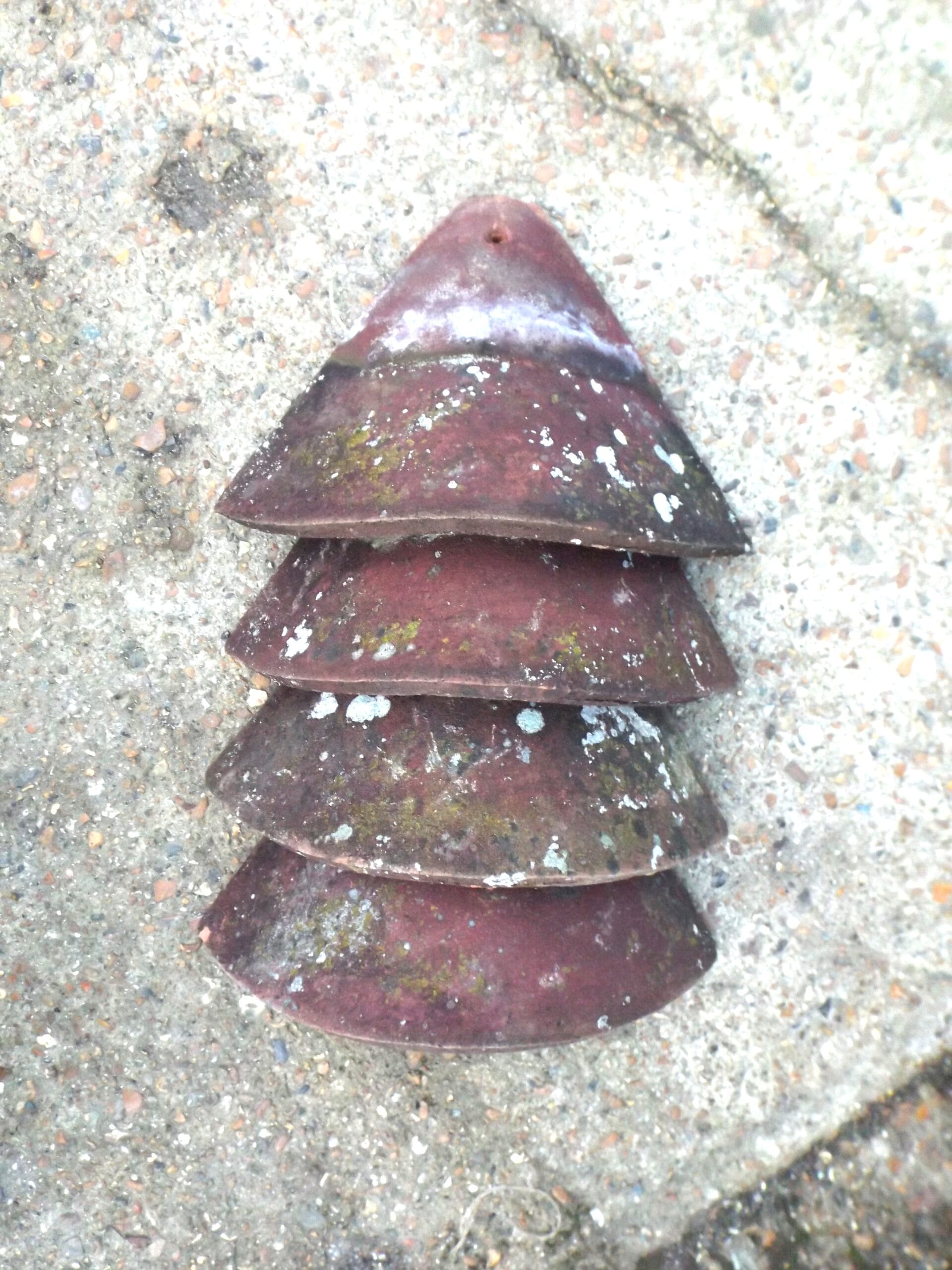 Tucker Loughborough Bonnet Hips - Best Reclamation Reclaimed Hips