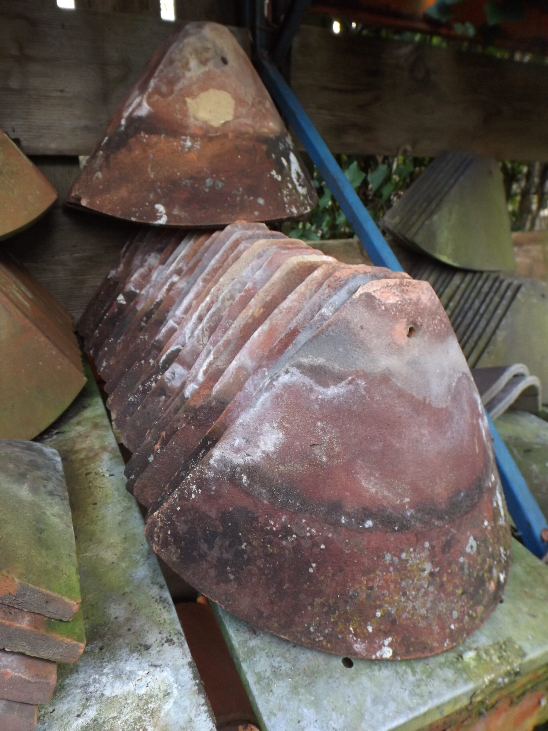 Tucker Loughborough Bonnet Hips - Best Reclamation Tucker Loughborough Bonnet Hips