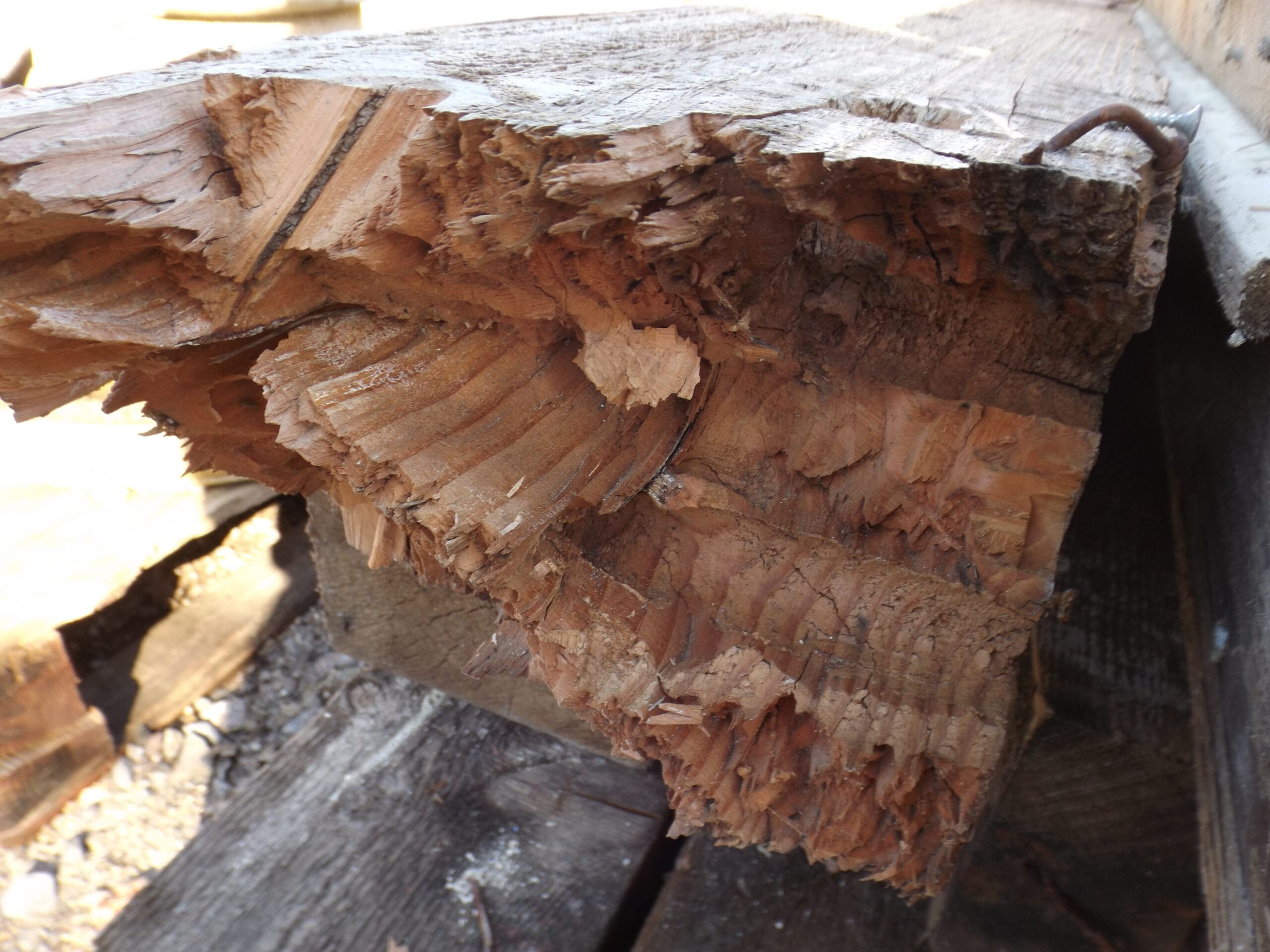 Reclaimed Pitch Pine Beams - Best Reclamation Pitch Pine