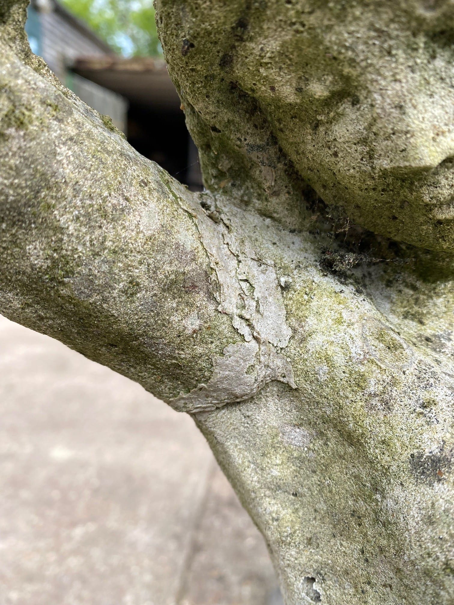 Woman Holding A Flower Statue - Best Reclamation Reclaimed Garden Ornament
