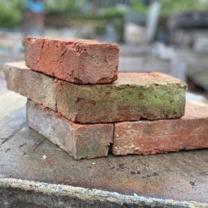 Ashburnham Squint Bricks