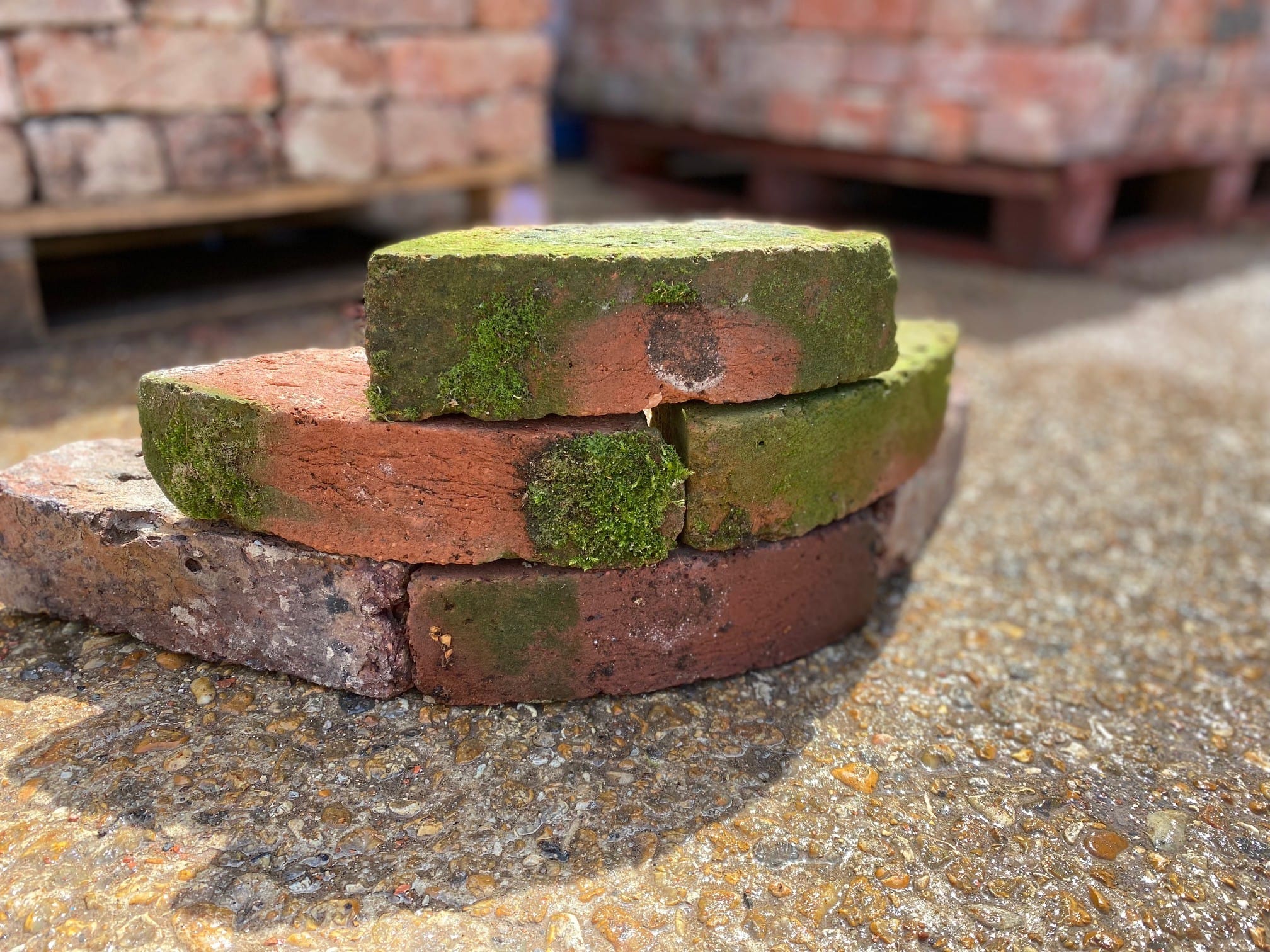 Radial Stretcher Bricks - Best Reclamation Shaped Bricks